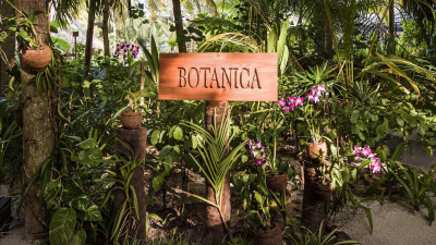 Botánica Agrícola 4° 