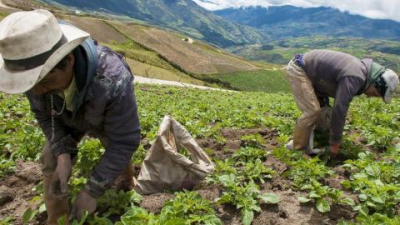 Legislacion Agraria 4° 