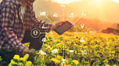 Formulación de Proyecto Productivos 6° 